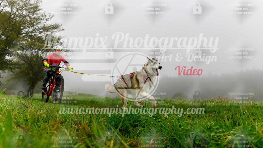 MompixPhotography_20TSB_E5_Bike-126 | PayLife