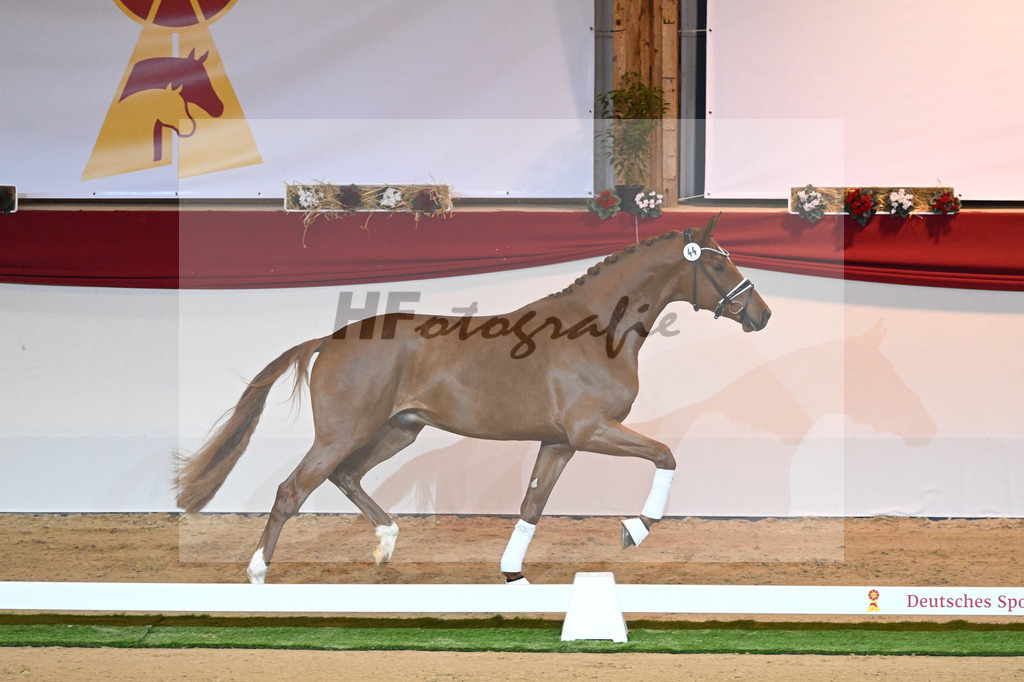 Kat-Nr. 44 Donier_Hertweck_1230049 | hf-fotografie - Realizzato con Pictrs.com