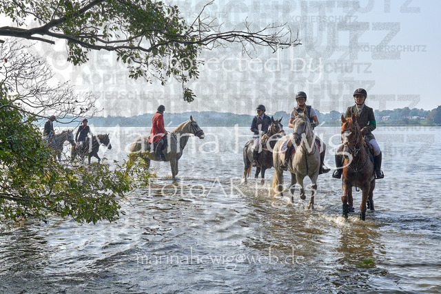 09-23 JAgd PerdölDSC02294_Marina Hewig | Fotografie, FotoArt, PferdesportArt, Pferdesportfotografie, Landschaftsfotografie, Reisefotografie, Reise, Pferde - Realisiert mit Pictrs.com