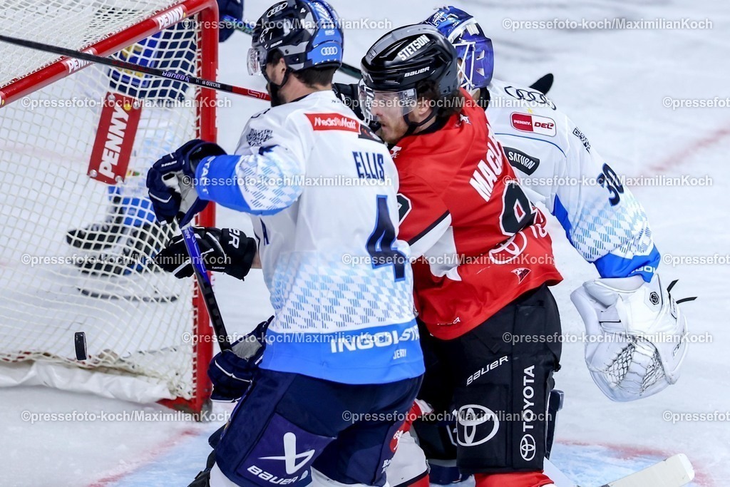 KEC1404251103 | 14.04.2025, Eishockey, DEL Play-offs, Kölner Haie - ERC Ingolstadt, Halbfinale Spiel 6, Lanxess-Arena Köln: Torschütze Gregor MacLeod (Kölner Haie #89) trifft das Tor zum 2:2 Ausgleich 