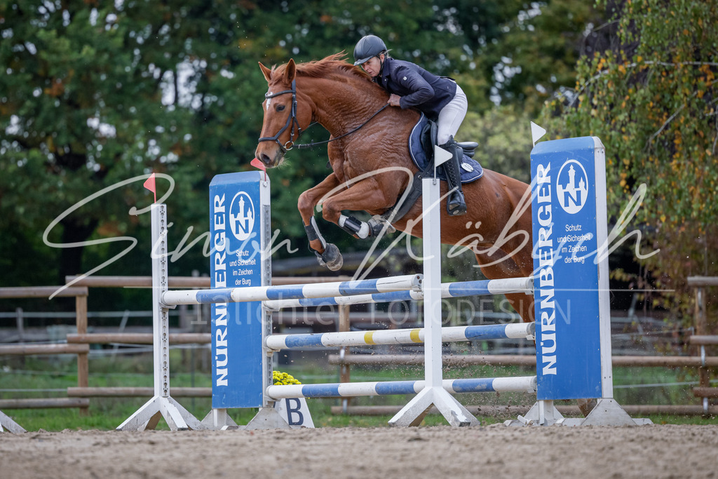 20251012-_3LI5230 | Tierfotografie Pferde, Hunde, Katzen, Haustiere.
Turnierfotografie Reitturniere, Reiten, Springreiten, Dressur in Hanau, dem Main-Kinzig-Kreis und dem Rhein-Main- Gebiet um Frankfurt