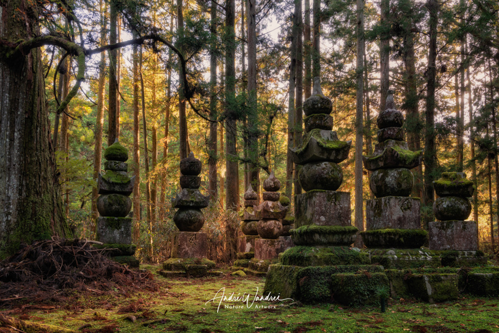 Auf der heiligen Stätte | Andre Wandrei - Nature Artworx - Realisiert mit Pictrs.com