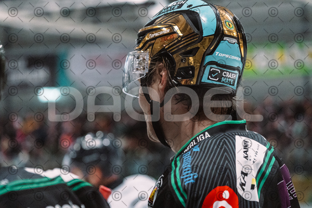 Alligators_vs_Lindau_20_02_2026-33 | Höchstadt Alligators Fotogalerie: Eishockey-Action aus Franken. Professionelle Spielfotos, Portraits & Stadionbilder zum Download. Jetzt entdecken! - Realisiert mit Pictrs.com