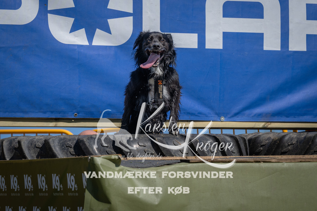 1241_ZZ96166 | kk-dogfotos