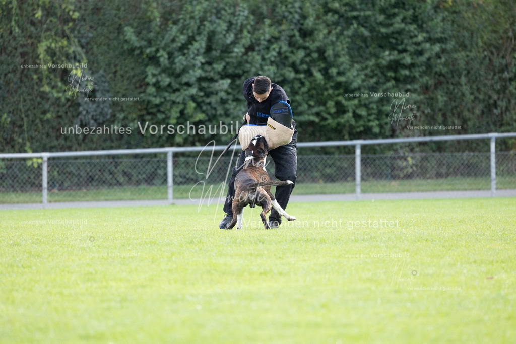 _16A6519 | Einzigartige Fotos von Hunden & Menschen –Actionfotos, Portraits, Vereinsaufnahmen & Paarshootings – authentisch, lebendig & mit Herz.
