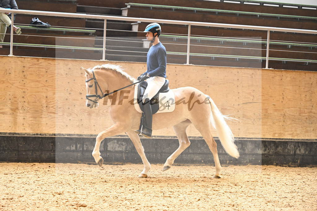 Kat-Nr. 4 Finja_Oswald_6222091 | hf-fotografie - Realisiert mit Pictrs.com