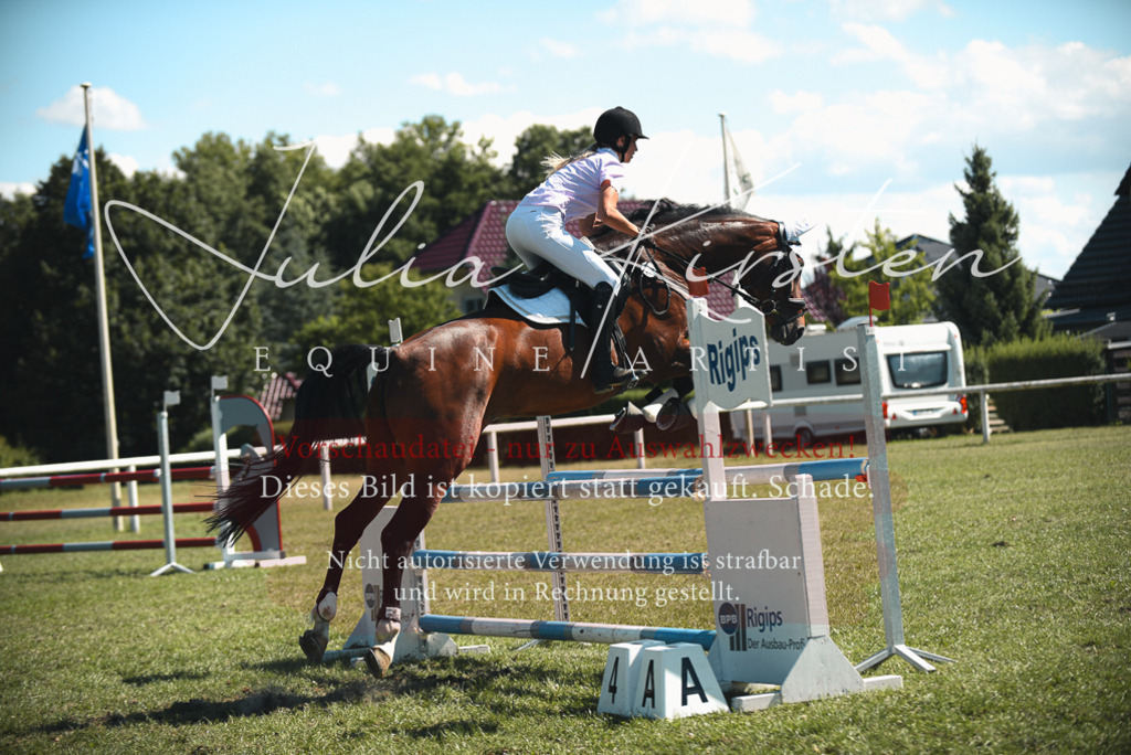 DSC_7179 | Pferde- und Turnierfotografie in Westsachsen. Pferdeportraits, Auftragszeichnungen und intuitive Kunst.
