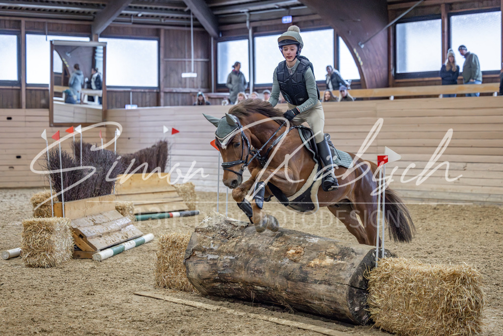 20260221-_3LI9659 | Tierfotografie Pferde, Hunde, Katzen, Haustiere.
Turnierfotografie Reitturniere, Reiten, Springreiten, Dressur in Hanau, dem Main-Kinzig-Kreis und dem Rhein-Main- Gebiet um Frankfurt