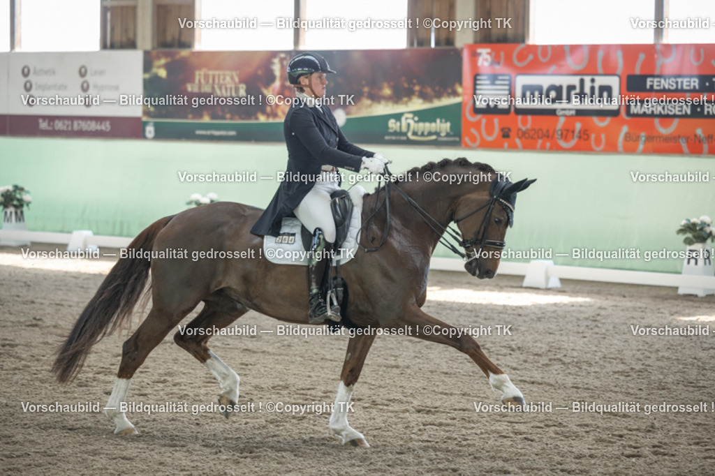 _D5A9335 | Emotionale Pferde- & People-Fotografie rund um Heidelberg, Leimen & Umgebung. Natürliche Fotos von Pferd, Mensch & Familie. Jetzt Termin sichern!