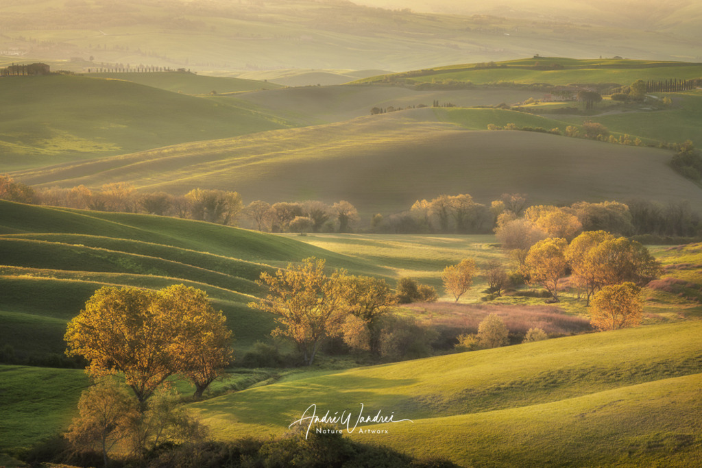 Die grünen Hügel | Andre Wandrei - Nature Artworx - Realisiert mit Pictrs.com