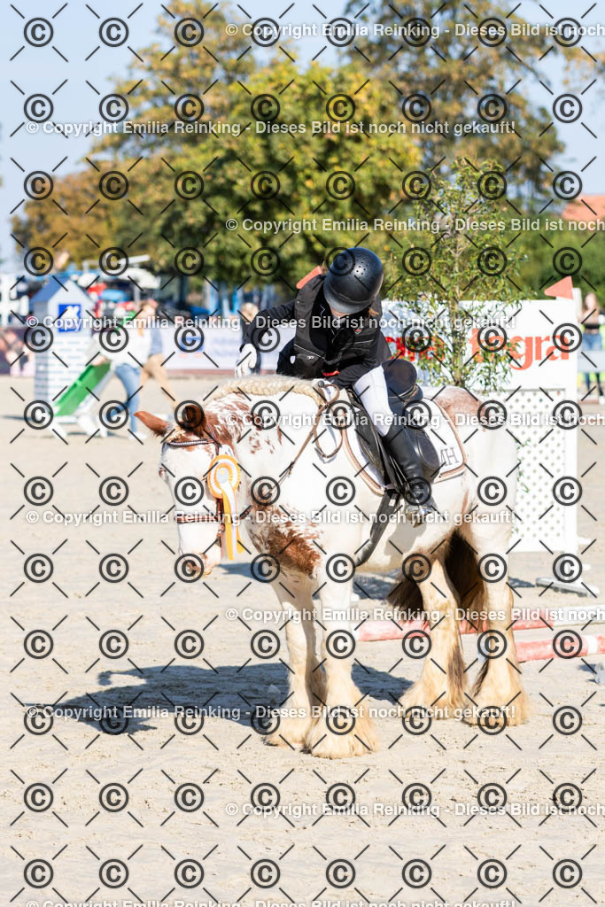 CL5A0186 | Emilia Reinking Fotografie - Realisiert mit Pictrs.com