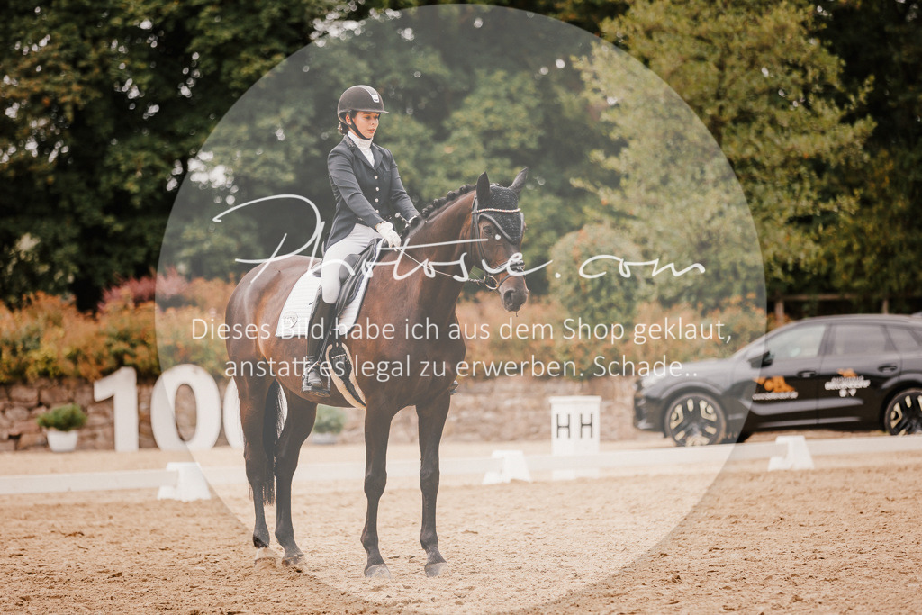 3I6A5847 | Stimmungsvolle Portraits und Reitsportfotografie im Ruhrgebiet und im Münsterland.

Pferdefotografie, Hundefotografie, Tierfotografie, Reportagen, Portraits von Tier und Mensch, Turnierfotografie in Bochum, Recklinghausen, Marl, Haltern am See, Dülmen.. - Realisiert mit Pictrs.com