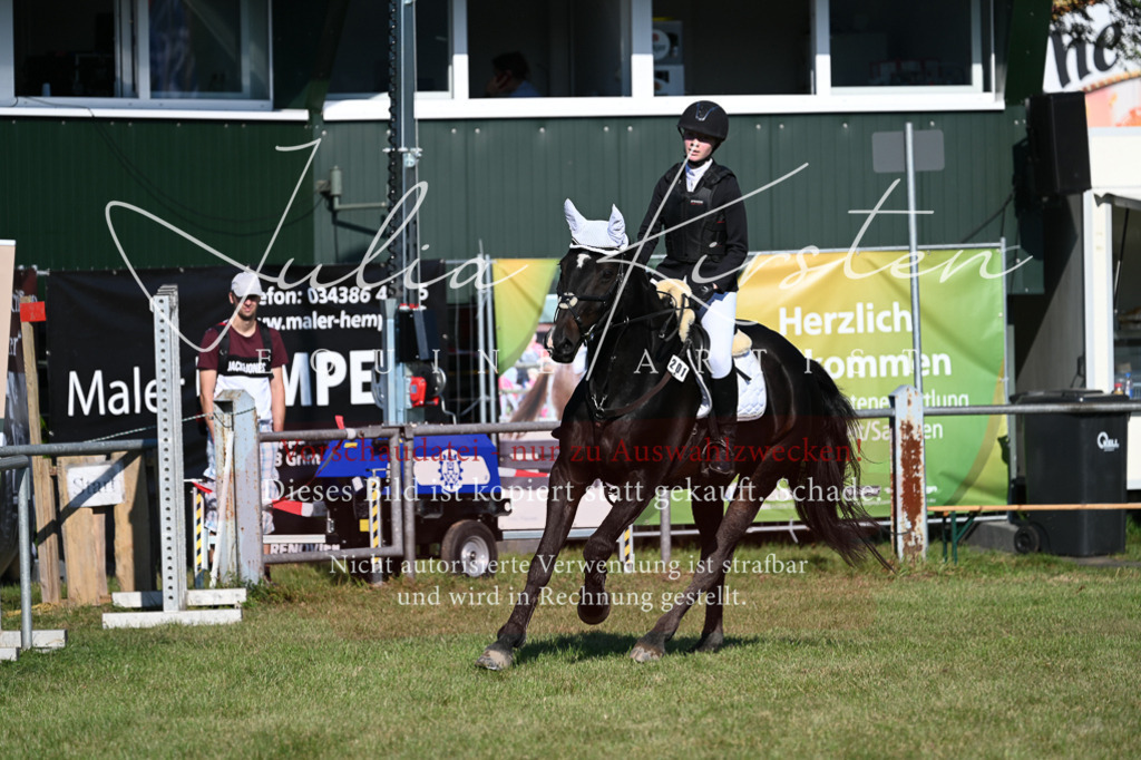 DSC_5140 | Pferde- und Turnierfotografie in Westsachsen. Pferdeportraits, Auftragszeichnungen und intuitive Kunst.