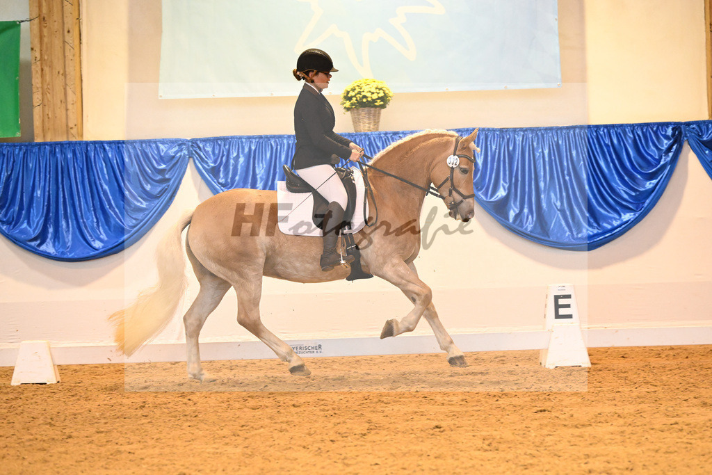 Kat-Nr. 332 Highlight_Schuler_54222285 | hf-fotografie - Realisiert mit Pictrs.com