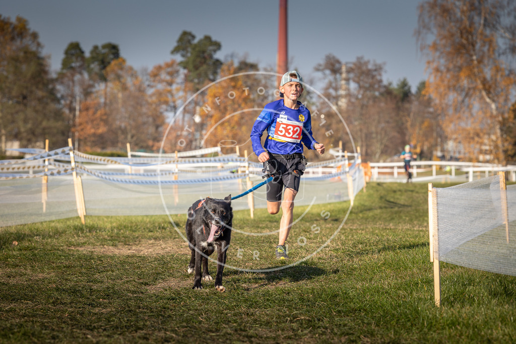 CaniXpix_0L8A8792 | Hundefotografie, Tierfotograf, Pfotenfotografie, Fotoshooting Hund, Hunde Portrait, Hundesport, Hundeportraits, Heideshooting, Hunde, Sportfotograf, Hundefotograf, Turnierhundsport, THS,  - Realisiert mit Pictrs.com
