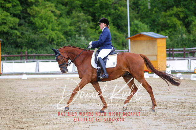 DKP46099 | Turniersportfotografie; Pferdefotografie; Dressurfotografie