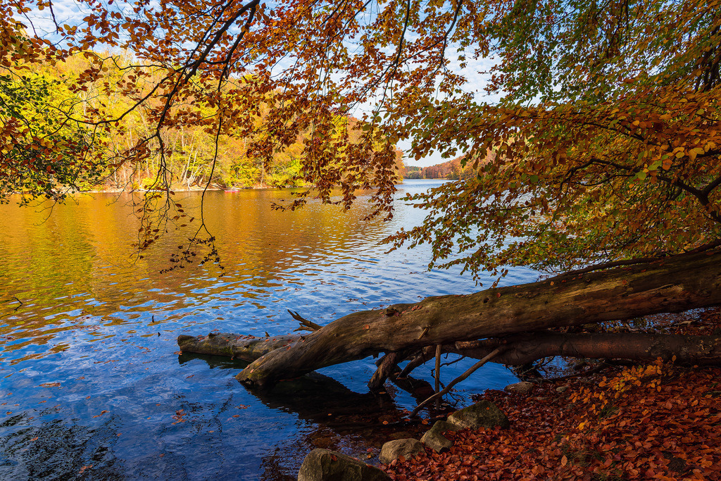 Blick über den See Schmaler Luzin auf die herbstliche Feldberger Seenlandschaft | Blick über den See Schmaler Luzin auf die herbstliche Feldberger Seenlandschaft.