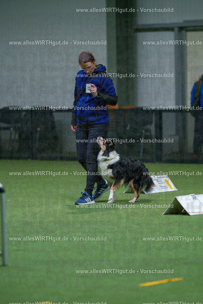 7R503132 | Professionelle Tierfotografie in Mönchengladbach von Daniel Wirth (allesWIRTHgut). Liebevolle & natürliche Bilder von Hunden & Katzen für unvergessliche Erinnerungen.