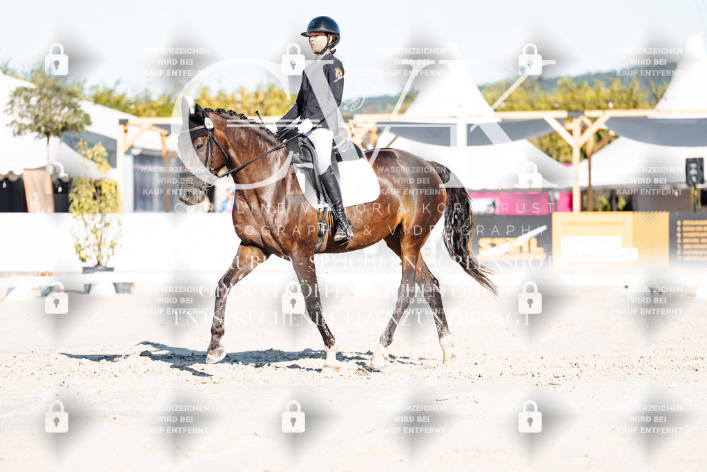 CK907155 | Turnierfotografie Pferdefotografie Trier Rheinland-Pfalz Pferdesport Reitsport Tierfotografie Sportfotografie Pferdevideo Pferdevideografie Equestrianvideography equestrianphotography  - Realisiert mit Pictrs.com