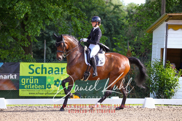 DKP41571 | Deine Turnierfotos vom Reitturnier online kaufen: Dressur, Springen & Siegerehrung. Professionelle Pferdefotografie aus dem Rheinland – als Download & Print.Alternative: Turnierfotograf für den Pferdesport: Finde deine Fotos von Dressur- und Springturnier