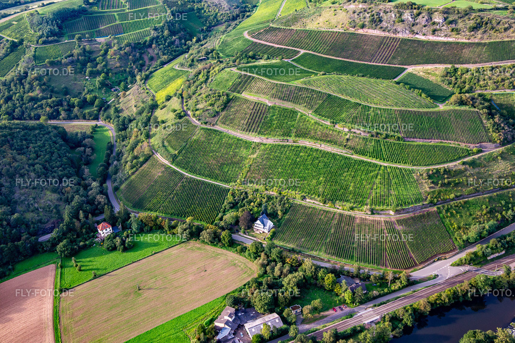 Weinlage Schloßböckelheimer Königfels am Heimberg | Luftbild: Weinlage Schloßböckelheimer Königfels am Heimberg in Waldböckelheim im Bundesland Rheinland-Pfalz in Deutschland. Foto: IMG_138195.jpg vom 03.09.2023 durch ©2025 Werner Riehm fly-foto.de/copyright - Realisiert mit Pictrs.com