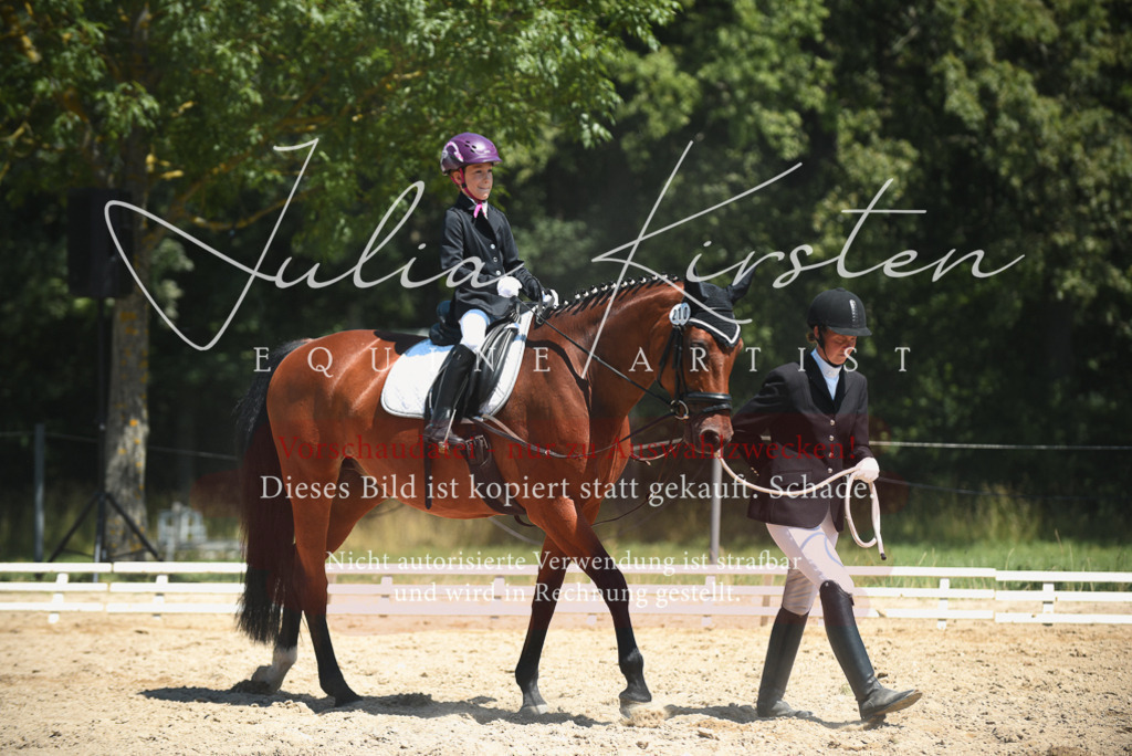 DSC_1726 | Pferde- und Turnierfotografie in Westsachsen. Pferdeportraits, Auftragszeichnungen und intuitive Kunst.