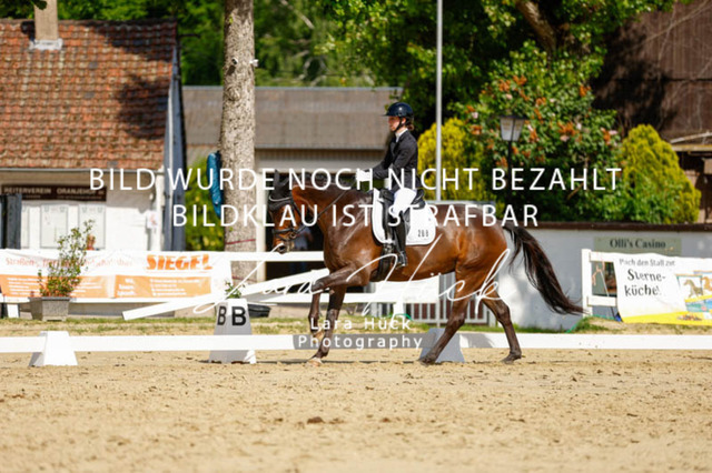 _62_2824 | larahueckfotografie