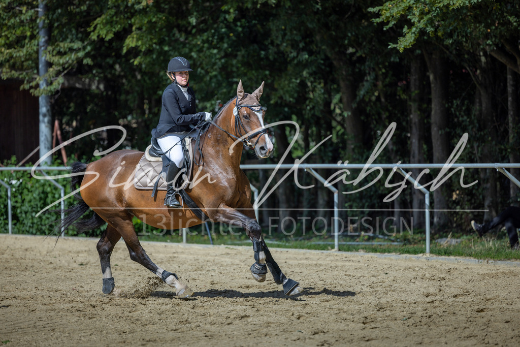 20260905-_3LI9124 | Tierfotografie Pferde, Hunde, Katzen, Haustiere.
Turnierfotografie Reitturniere, Reiten, Springreiten, Dressur in Hanau, dem Main-Kinzig-Kreis und dem Rhein-Main- Gebiet um Frankfurt