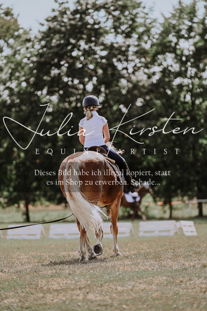 DSC_7816 | Pferde- und Turnierfotografie in Westsachsen. Pferdeportraits, Auftragszeichnungen und intuitive Kunst.