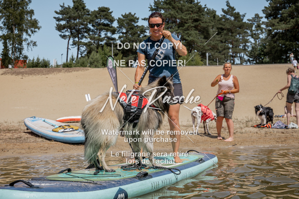nelerasche_saSUP1_356 | nelerasche