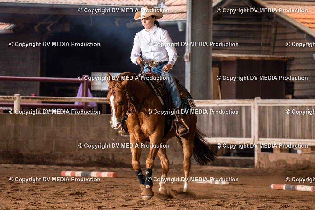 Erbach Tag 3-618 | dv-media-shop - Realisiert mit Pictrs.com