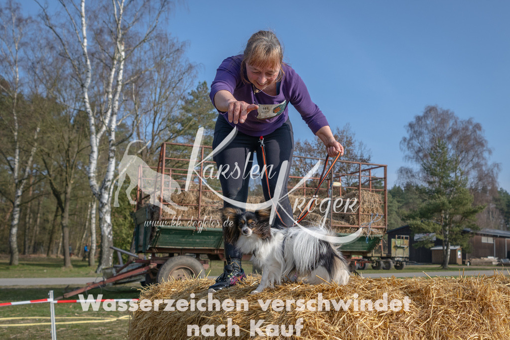 _ZZ90024 | kk-dogfotos