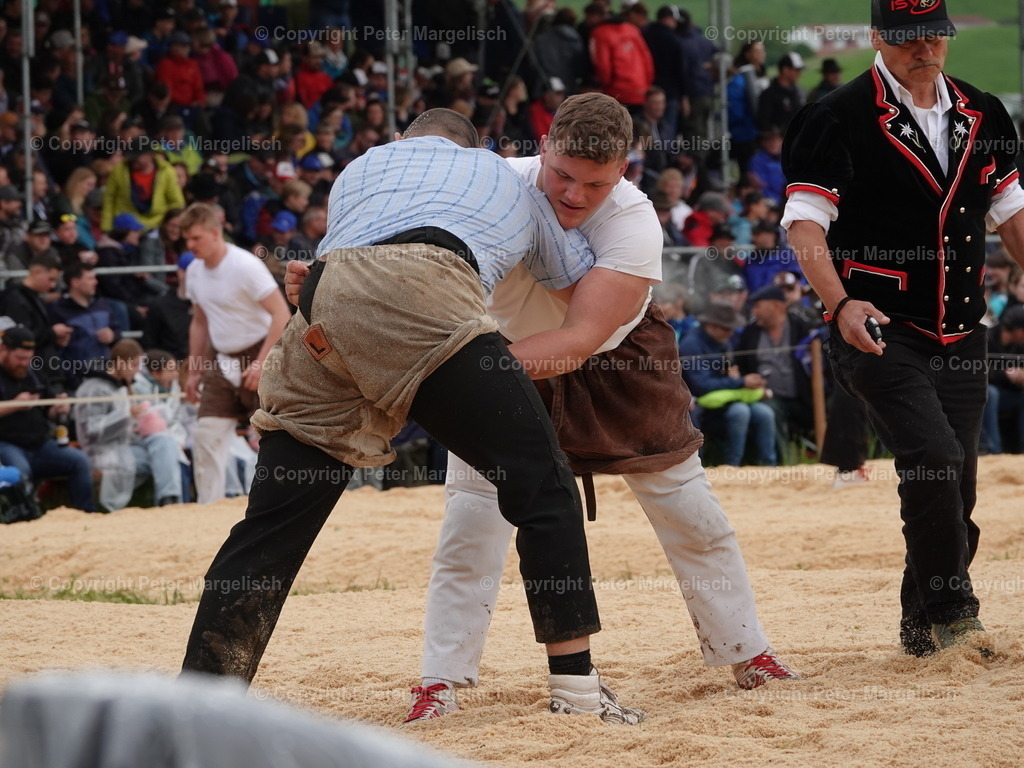 DSC07616 | Schwingen - Realisiert mit Pictrs.com