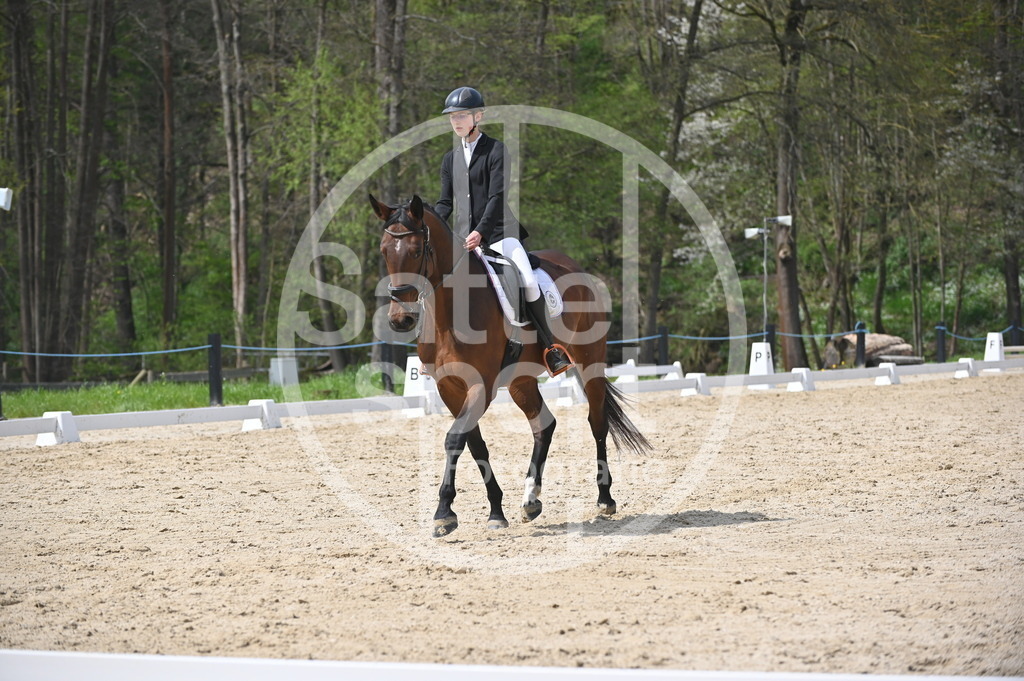 DSC_3370 | sattelsport - Realisiert mit Pictrs.com