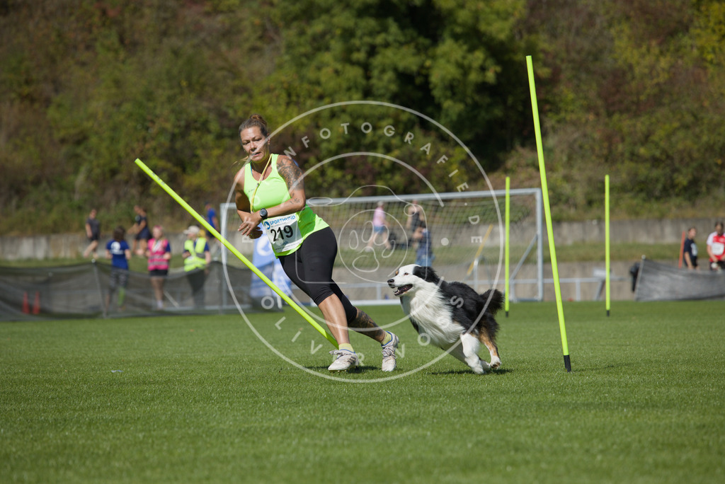 0L8A5949 | Hundefotografie, Tierfotograf, Pfotenfotografie, Fotoshooting Hund, Hunde Portrait, Hundesport, Hundeportraits, Heideshooting, Hunde, Sportfotograf, Hundefotograf, Turnierhundsport, THS,  - Realisiert mit Pictrs.com