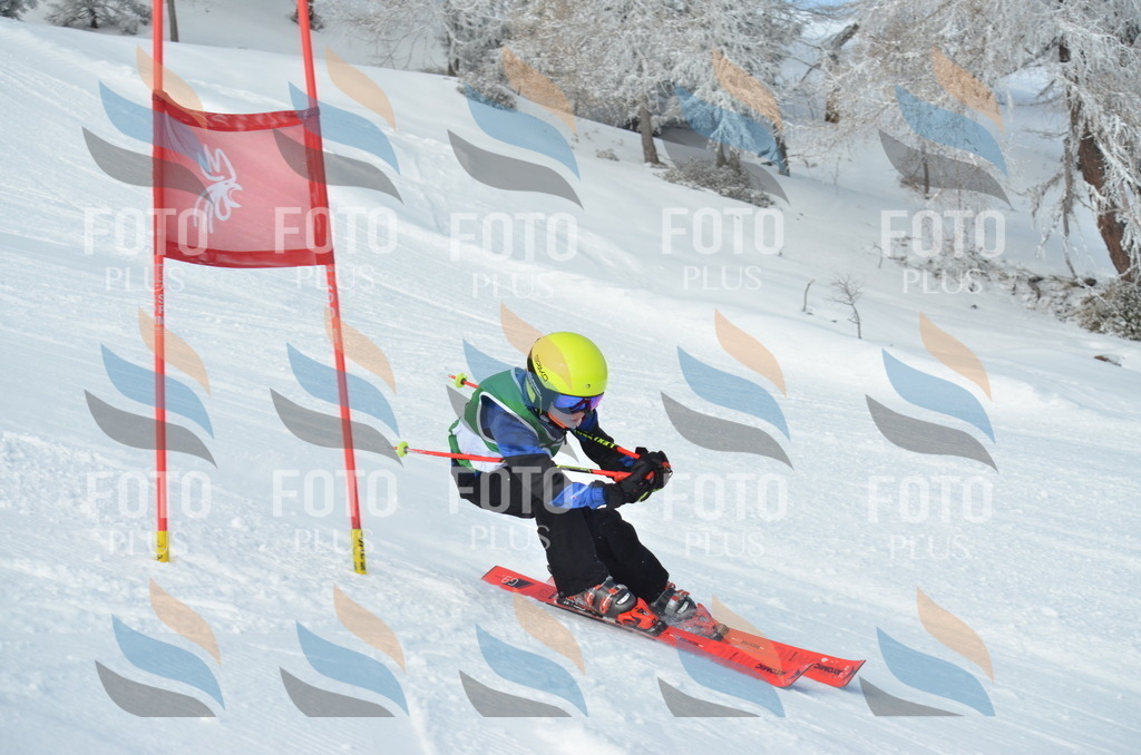 D8684 | holidayphoto