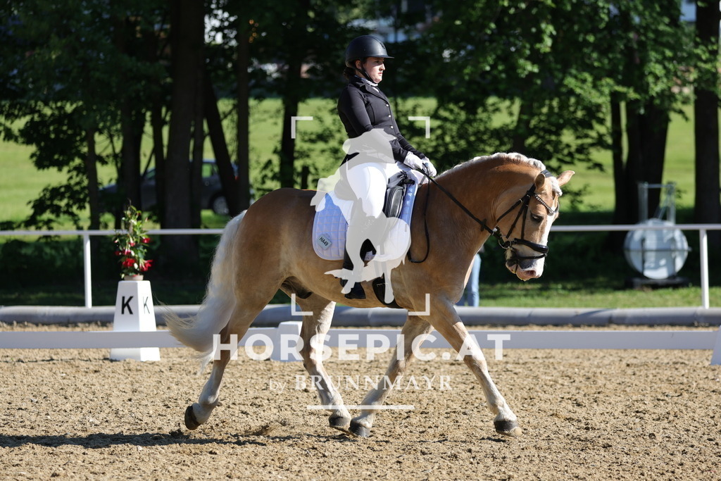 0P6A9343 | Willkommen bei Brunnmayr - Design & Fotografie – Ihrem Spezialisten für Reitturniere und Pferdeveranstaltungen in Oberösterreich, Salzburg und Bayern! Seit über 17 Jahren sind wir leidenschaftlich dabei.