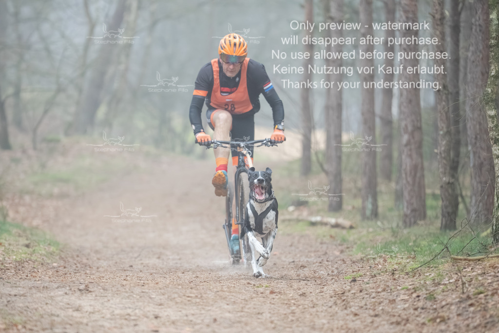 Scooter1-106 | stephaniefillaphotographie - Realisiert mit Pictrs.com