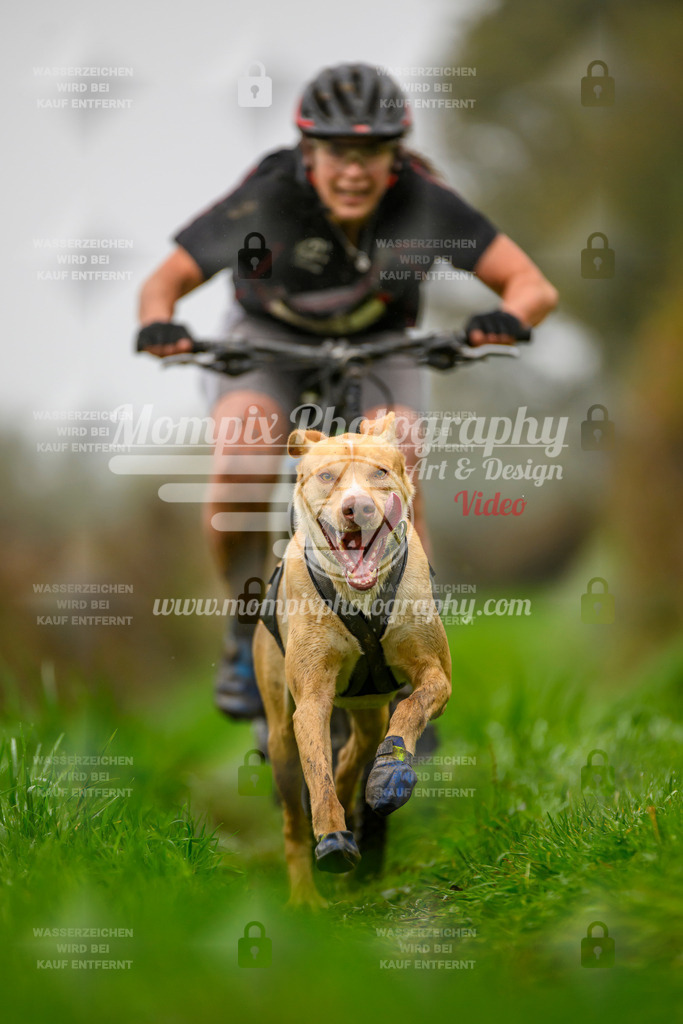 MompixPhotography_20TSB_E8_Bike-90 | PayLife