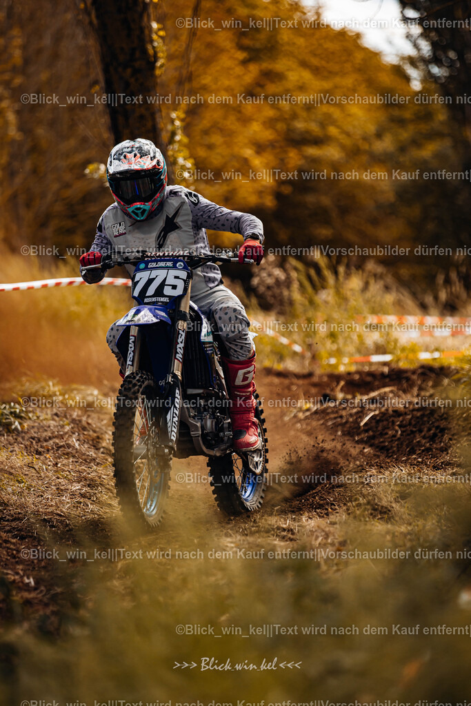 E68A2236 | blick_win_kel