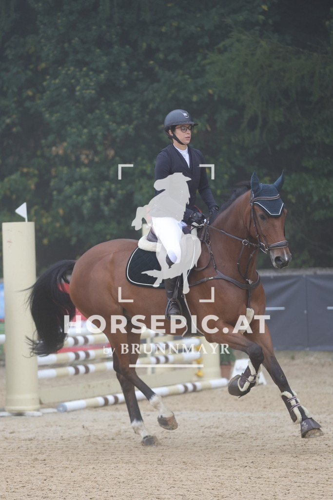 0P6A0318 | Willkommen bei Brunnmayr - Design & Fotografie – Ihrem Spezialisten für Reitturniere und Pferdeveranstaltungen in Oberösterreich, Salzburg und Bayern! Seit über 17 Jahren sind wir leidenschaftlich dabei.