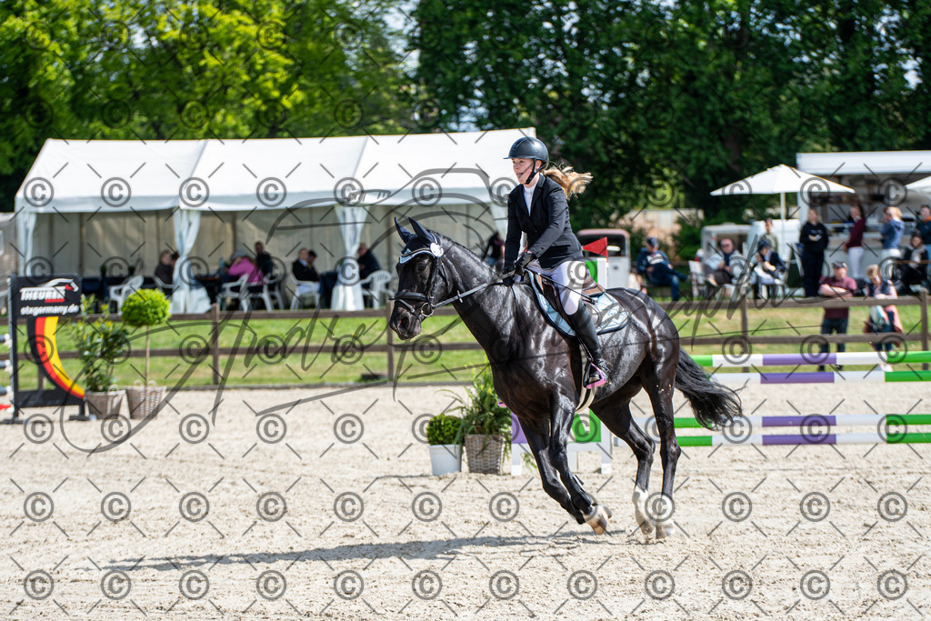 KPT_4940 | andre_photographic