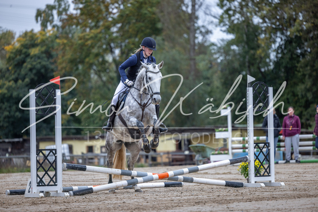 20251012-_3LI2545 | Tierfotografie Pferde, Hunde, Katzen, Haustiere.
Turnierfotografie Reitturniere, Reiten, Springreiten, Dressur in Hanau, dem Main-Kinzig-Kreis und dem Rhein-Main- Gebiet um Frankfurt