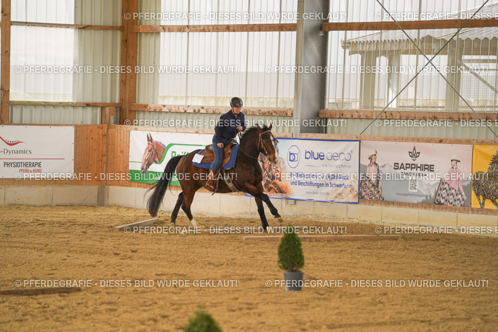 DSC04363 | Pferdegrafie