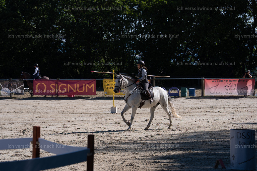 WL_SP_70_SinaFilmArt_IN05803 | working equitationturnier fotograf videograf stoibphotography marixx film working equitation deutschland reitsport turnierfotografie eventfotografie equestrian events