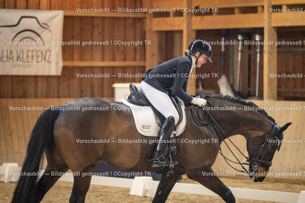 _D5A9291 | Emotionale Pferde- & People-Fotografie rund um Heidelberg, Leimen & Umgebung. Natürliche Fotos von Pferd, Mensch & Familie. Jetzt Termin sichern!