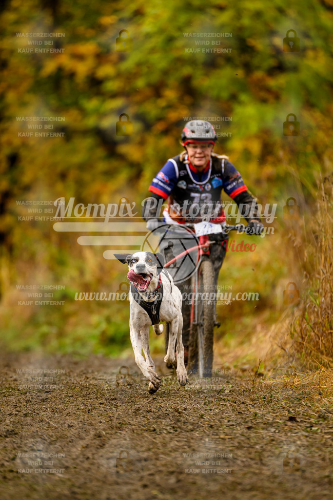 MompixPhotography_ICF_WC_2024_SA_DS_-176 | PayLife