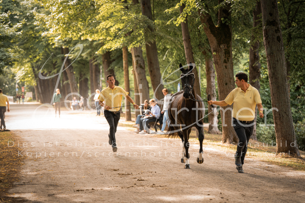 FrPfM00077 | Leoni Ertmer Photography - Realisiert mit Pictrs.com