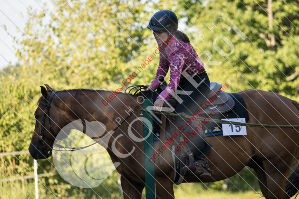 IMG_6242 | Sport-, Event- und Tierfotos in Profiqualität. Einfach auswählen, bestellen und herunterladen. Dein Moment – perfekt festgehalten.