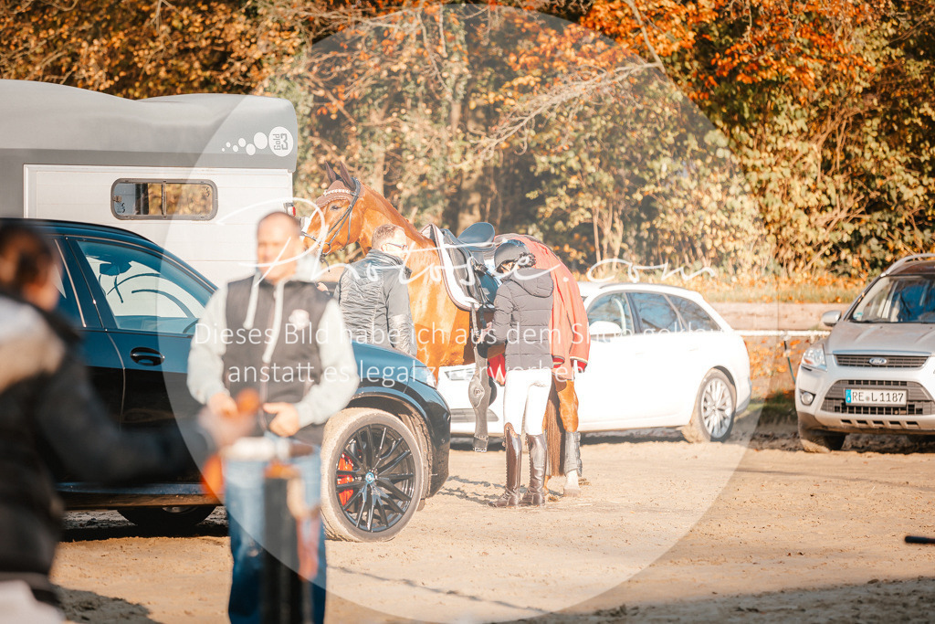 3I6A1594 | Stimmungsvolle Portraits und Reitsportfotografie im Ruhrgebiet und im Münsterland.

Pferdefotografie, Hundefotografie, Tierfotografie, Reportagen, Portraits von Tier und Mensch, Turnierfotografie in Bochum, Recklinghausen, Marl, Haltern am See, Dülmen.. - Realisiert mit Pictrs.com